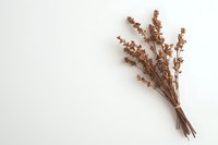 Minimalist bouquet of dried brown wildflowers tied with twine on white background, natural botanical composition for modern rustic decor and design projects.
