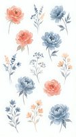 Watercolor floral elements set with coral pink roses and dusty blue peonies isolated on white background for wedding invitations and romantic designs.