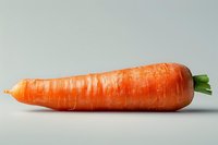 Fresh whole orange carrot isolated on light gray background, perfect for healthy eating, food photography and vegetarian lifestyle concepts. Studio shot with soft lighting.