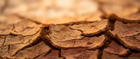 Cracked dry earth surface showing drought conditions with deep fissures and parched soil texture for environmental and climate change concepts.