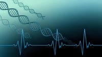 DNA double helix strands with heartbeat pulse rhythm on gradient background for medical genetics research and biotechnology applications.