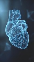 Digital wireframe human heart model with glowing blue mesh structure for medical education, healthcare technology and cardiology presentations.