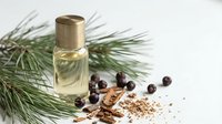 Luxury perfume bottle with pine branches, juniper berries and spices for natural cosmetics and aromatherapy products on white background.