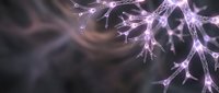 Neural network connections with glowing purple synapses firing electrical impulses through brain pathways for medical and scientific research applications.