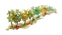 Watercolor painting of lush green trees with golden and earthy tones, depicting a natural landscape or forest scenery for environmental and nature-themed projects.