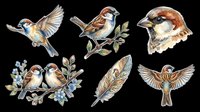 Sparrow sticker set isolated on transparent background, featuring birds in flight, perched on branches, and a feather, ready for clipart and print on demand.
