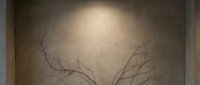 Minimalist shadow art of delicate tree branches cast on textured wall surface creating organic patterns in warm natural lighting for interior design.