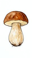 Watercolor mushroom with brown cap and cream stem isolated on white background, ready for design use on apparel and clipart projects.