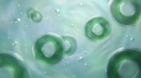 Green cellular structures floating in translucent liquid with bubbles creating abstract biological microscopic environment for scientific presentations.