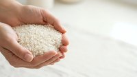 Close-up of hands holding uncooked white rice grains, showing food quality and agricultural harvest for cooking, nutrition, and culinary use.