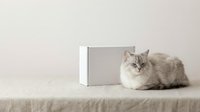 Fluffy gray cat resting beside a white blank cardboard box on a linen surface, soft neutral background, copy space for text.