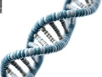 DNA double helix structure in blue and white on isolated background, representing genetic science and biotechnology research.