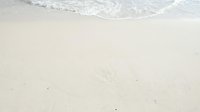 Serene sandy beach with gentle ocean waves washing ashore, creating a peaceful coastal scene suitable for travel, wellness, and relaxation design projects.