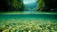Split view of pristine mountain lake showing crystal clear underwater rocks and pebbles beneath surface with forested shoreline and mountains above.
