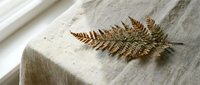Dried fern branch resting on natural linen fabric near a window, warm earthy tones, autumn botanical still life with rustic texture.