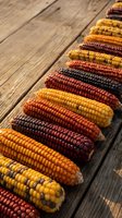 Colorful heirloom corn varieties arranged on rustic wooden planks showcasing autumn harvest diversity with yellow, red, purple and multicolored kernels for seasonal cooking.