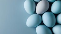 Fresh blue and white chicken eggs arranged in soft lighting against matching blue background creating minimalist composition with gentle shadows.