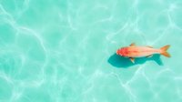 Orange fish swimming in crystal clear turquoise water with sunlight reflections creating ripple patterns on surface, view from above. Perfect for marine and summer designs.