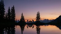 Silhouettes of two people holding hands by mountain lake at sunset with evergreen trees and purple sky reflected in calm water creating romantic wilderness scene.