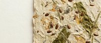Handmade paper texture with natural botanical elements including dried leaves and seeds embedded in organic fiber surface for craft projects.