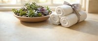 Spa wellness setup with succulent plants in wooden bowl and rolled white towels tied with ribbon on natural stone surface for relaxation and self-care.
