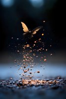 Magical butterfly silhouette emerging from scattered golden fragments against dark background, creating surreal transformation effect with bokeh and sparkles.