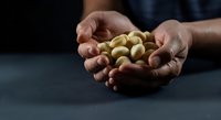 Hands holding golden cashew nuts on dark surface, showcasing organic nuts for food, nutrition, and healthy snacking content.
