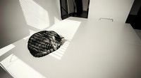 Overhead view of woven black basket sitting on white table with natural sunlight casting geometric shadows across surface, minimalist interior design and home decor styling.