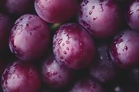 Fresh ripe purple plums with water drops in macro view, natural organic fruit background showing juicy texture and vibrant color for food design.