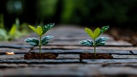Young green seedlings growing through wooden planks, symbolizing breakthrough, persistence and new beginnings in nature. Macro photography with shallow depth of field.