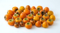 Fresh orange medlar fruits with green leafy crowns arranged on white background, suitable for food photography, culinary design, healthy eating content, and agricultural marketing materials.