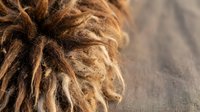 Close-up of natural brown dreadlocks with textured strands, suitable for hair care, lifestyle, and cultural representation content.