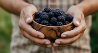 Farmer holding wooden bowl filled with fresh ripe blackberries, harvested berries for food production and agriculture industry use.