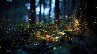 Glowing fireflies illuminate dark forest floor at night, creating magical atmosphere among moss and fallen leaves in woodland environment.