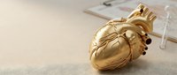 Golden anatomical heart model with stethoscope on neutral background for medical education and healthcare concepts.