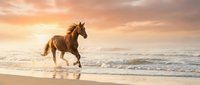 Majestic brown horse galloping through ocean waves on sandy beach at golden sunset with dramatic cloudy sky creating romantic coastal scene for travel content.