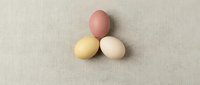Three pastel colored eggs in pink yellow and cream arranged on neutral linen fabric background for Easter spring holiday cooking baking decoration.