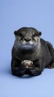 Cute otter holding a tiny coffee cup on a soft blue background, looking directly at the camera with an adorable expression.