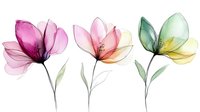 Delicate watercolor flowers in pink, peach and green tones with translucent petals and minimal stems on white background, suitable for wedding stationery and home decor.