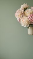 Soft pink peonies in ceramic vase against sage green background creating elegant floral arrangement for home decor and interior design projects.