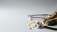 Medical stethoscope with colorful pills and capsules scattered on white surface for healthcare and pharmaceutical concepts.