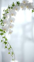 White orchid flowers with green ivy vine creating elegant floral border on soft gray background for wedding invitations and romantic designs.