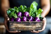 Fresh purple radishes with green tops in rustic wooden box held by hands against dark background, organic farm vegetables for healthy eating.
