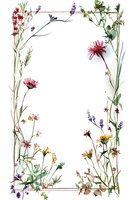 Delicate wildflower frame with watercolor meadow flowers, lavender sprigs, and botanical elements on white background. Suitable for wedding stationery and nature-inspired designs.