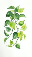 Watercolor painting of cascading green foliage with heart-shaped leaves in varying shades, isolated on white background for botanical design and nature illustration projects.