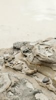 Weathered sandstone rock formations with natural erosion patterns and scattered pebbles on sandy beach coastline for outdoor adventure concepts.