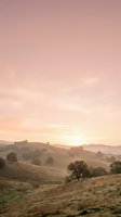 Serene rolling hills bathed in golden sunrise light, with scattered trees dotting the misty landscape. Soft pastel sky transitions from pink to warm amber tones. Peaceful countryside scenery for travel, wellness, and nature projects.