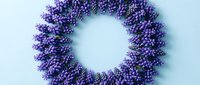 Purple lavender wreath on white background, isolated floral decoration for home decor, wedding, spa and aromatherapy design projects.