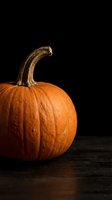 Fresh orange pumpkin with curved stem on rustic wooden surface against black background for autumn harvest and Halloween seasonal decorations.