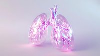 Glowing pink translucent human lungs with detailed bronchial tree structure on soft gradient background, medical visualization showing respiratory system anatomy.